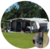 Campasist-CA30138-Tente-Mandali--resim5-80784.jpg