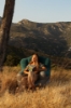 Easy Camp Comfy Chair Şişme Doğa Mobilyası resmi
