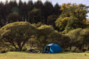 Dometic Kampa Mossborn 03 Aegean 3 Kişilik Kamp Çadırı resmi